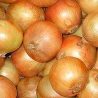 fresh onions