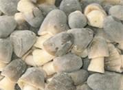 frozen straw mushroom