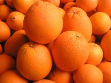 The sale of fresh orange