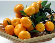 The sale of fresh and delicious Nanfeng tangerine