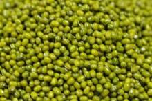 green mung beans