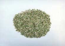 Lotus Leaf