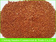 New 2015 Red broomcorn millet seeds,Chinese processor