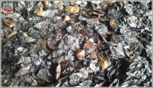 CASHEW NUT SHELL EXTRACTED