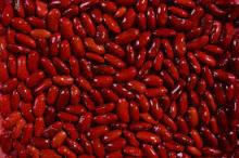 red kidney beans crop 2012