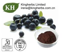 Acai Berry Extract;60%, 40%, 1%-15% Anthocyanidins, 10% Flavones, 4: 1; 10: 1
