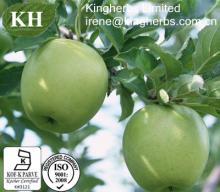 Apple Extract