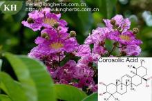 Banaba Extract Corosolic acid