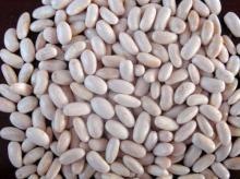 Kidney Beans