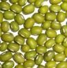 Green Mung Beans