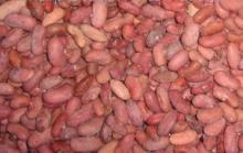 frozen red kidney beans