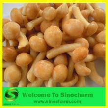 Frozen Nameko Mushroom