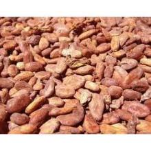 cocoa beans