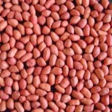 Raw and Roasted Peanuts