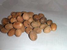 Dried Nutmeg