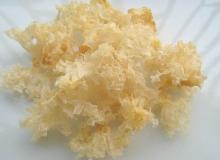 Tremella