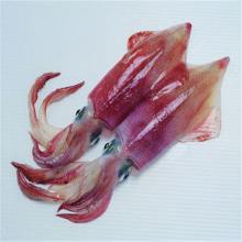 Good quality sleeve fish made in china