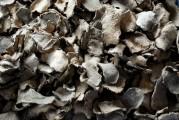 dried konjac chips
