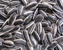 sunflower Seeds