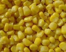 Fresh Corn