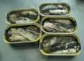 Canned Sardine and Tuna Fish