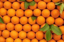 Fresh Naval and Valencia Oranges