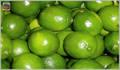 Fresh Seedless Limes
