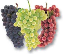 Fresh Red & Green Grapes