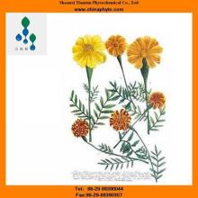 Lutein esters-Herbal extract-factory