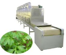 Microwave equipment for drying herbs leaf-herbs microwave dryer machine