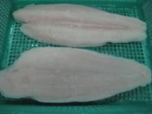 Light Pink Pangasius Fillets