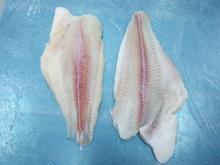 Untrimmed Pangasius Fillets