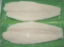 Frozen Pangasius Fillet