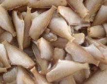 Frozen HGT IQF Leather Jacket Seafood and Fish