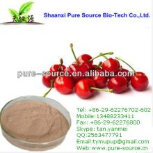 cherry extract powder with vitamin