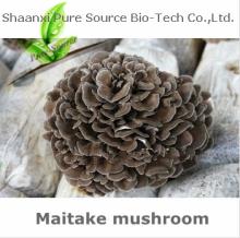 Mitake mushroom extract beta-glucan