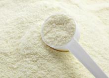 Milk Protein Concentrate Powder