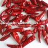 (dehydrated) Hot tianying Chilli