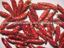 Chaotian chili