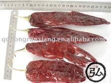 Yidu,  dry  chilli