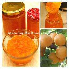 Delicious Apricot Jam, buy apricot jam, Luzhou-flavor apricot jam
