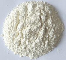 Garlic Powder and Dehydrated Garlic