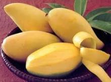 Fresh Mangoes