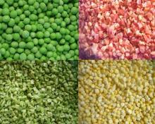 Frozen Pepper /Capsicum/ IQF Diced Green Pepper