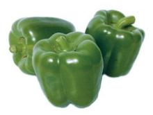 Red and Green Capsicum Pepper
