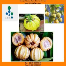 Loss weight-Garcinia cambogia extract-HCA 60%HPLC