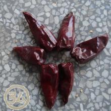 Hot chili