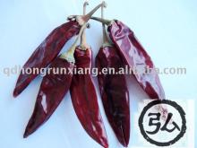 American Red Chili