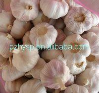 2013 chinese red garlic