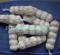 3p chinese garlic